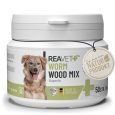 REA-PKS-PM_1