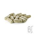 REA-PKS-PM_2