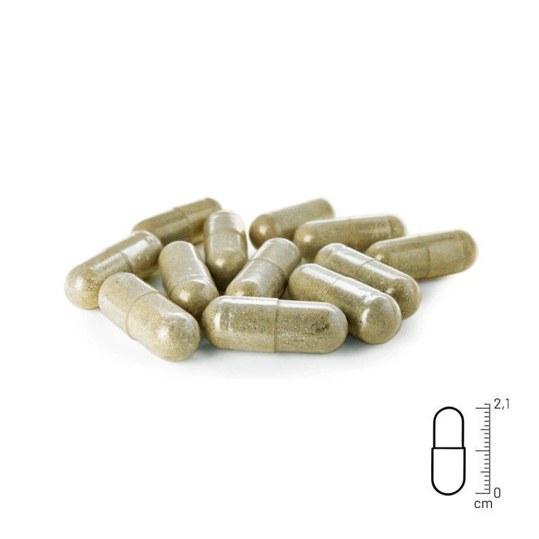 REA-PKS-PM_2