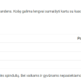 REA-PMS-MV_Naudojimas