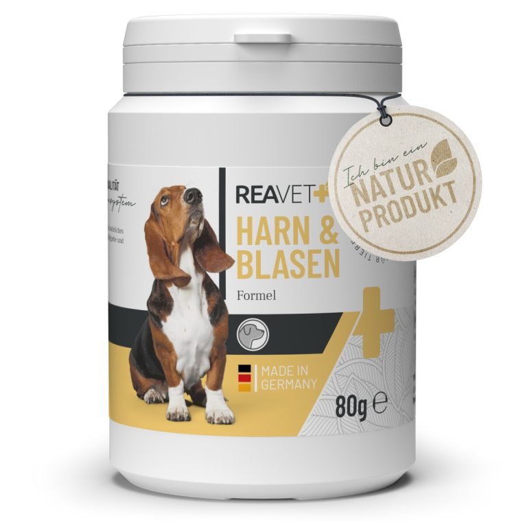 REA-PMS-SP_1