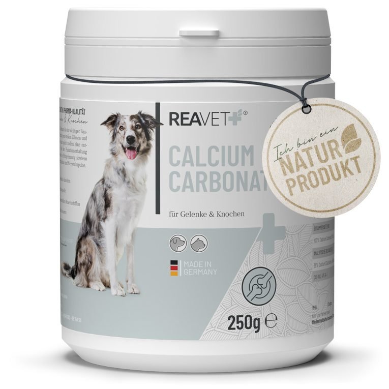 REA-PMSK-KK_1