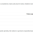 REA-PTS-SS_Naudojimas