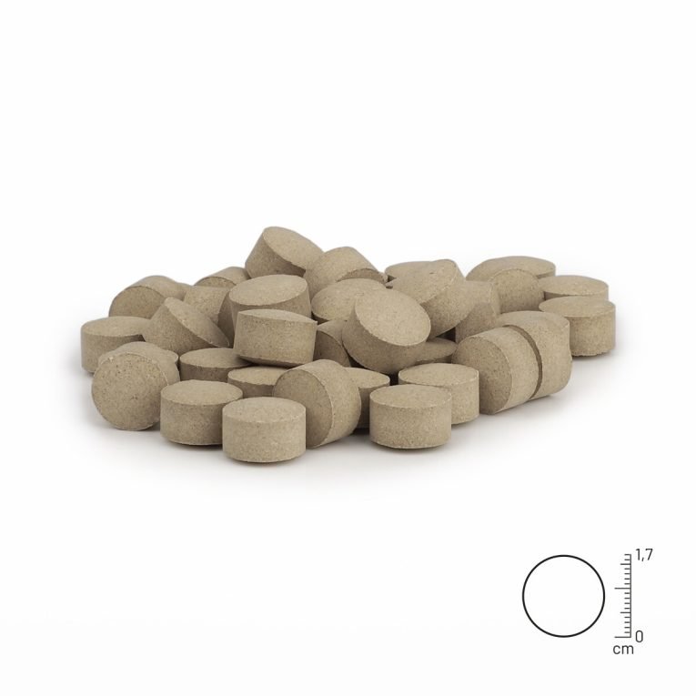 REA-PTS-VB_2