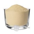 REA-PZMSK-BP_2